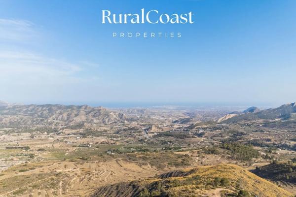 Chalet adosado en calle Picasso