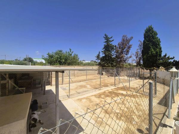 Chalet en Bellavista - Capiscol - Frank Espinós