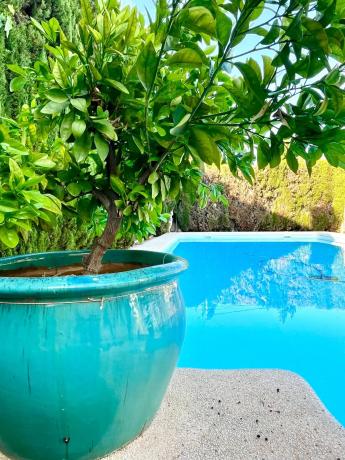 Casa independiente en calle Font del Salmitre