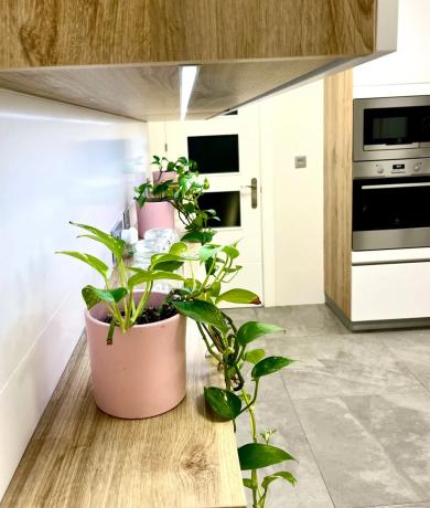 Casa independiente en calle Font del Salmitre