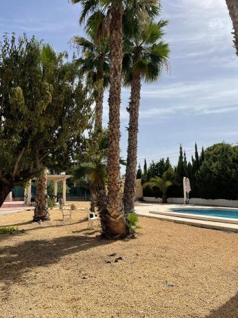 Casa independiente en calle Higuera