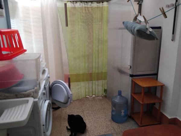 Piso en calle Portugal, 8