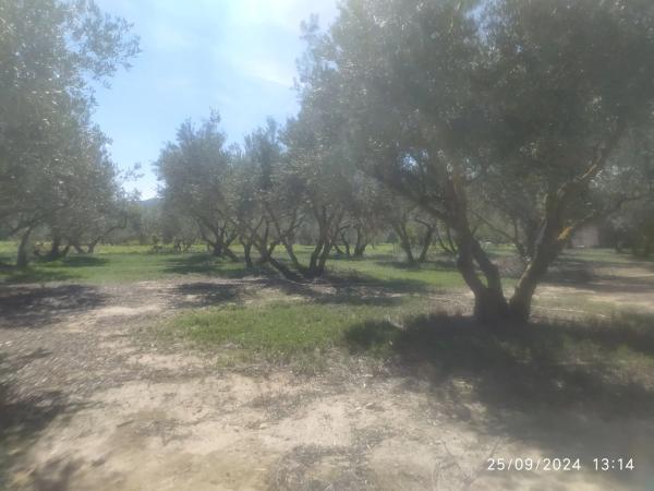 Casa independiente en camino de Senia Tomaset, 6