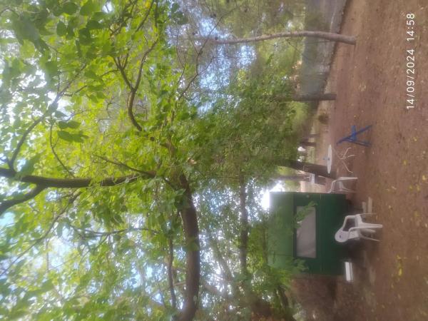 Casa independiente en camino de Senia Tomaset, 6