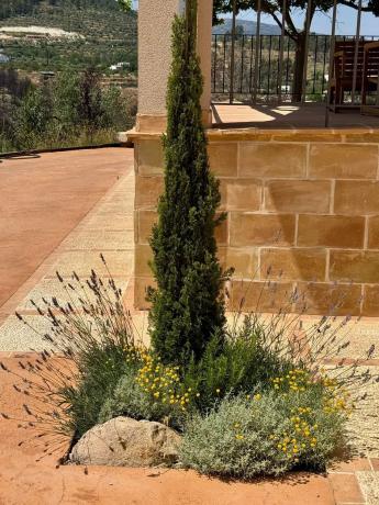 Masía en camino Solana s/n