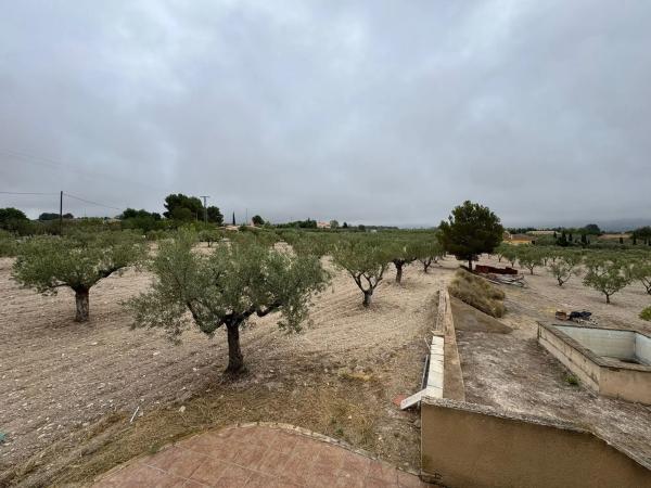 Casa independiente en avenida de Alcoy, 26