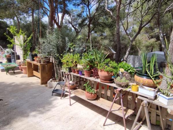 Casa independiente en Urbanización Terol
