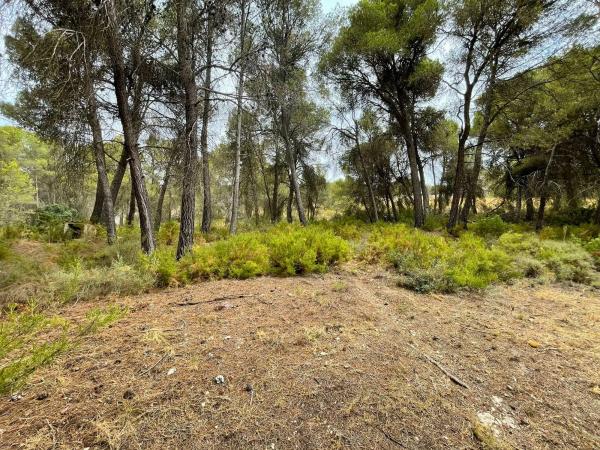 Casa independiente en calle b