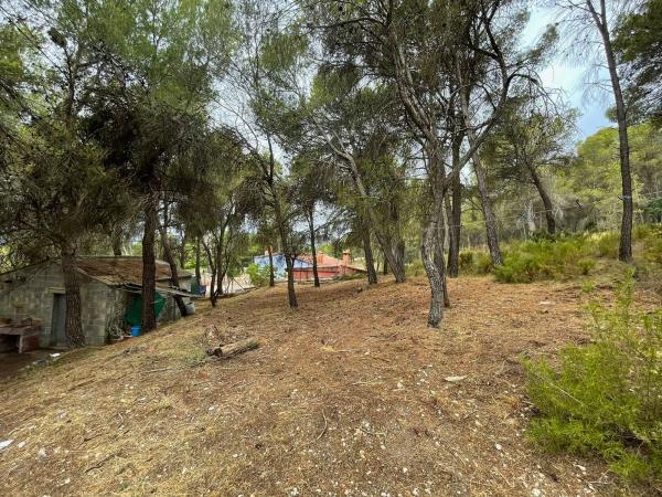 Casa independiente en calle b