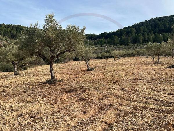 Masía en Banyeres de Mariola