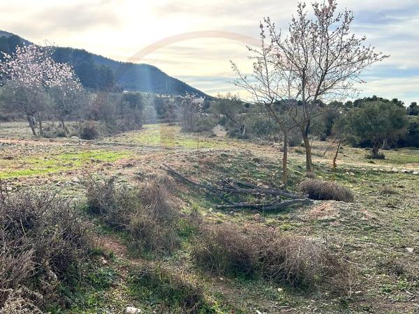 Masía en Banyeres de Mariola
