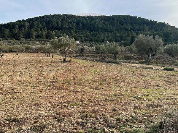Masía en Banyeres de Mariola