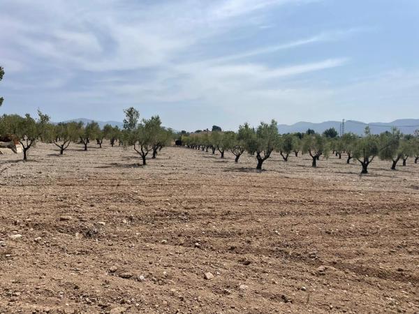 Casa independiente en calle La Perdiguera, 1