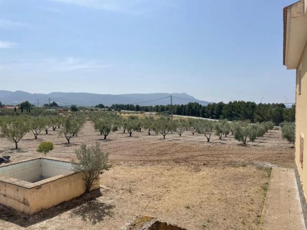 Casa independiente en calle La Perdiguera, 1