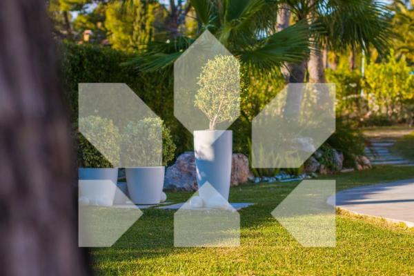 Casa independiente en calle el Mero