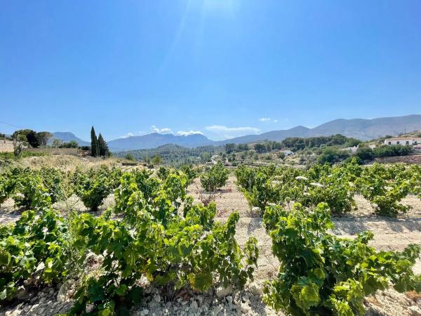 Casa independiente en Partida Benimarraig