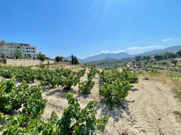 Casa independiente en Partida Benimarraig