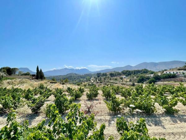 Casa independiente en Partida Benimarraig