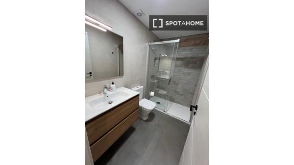 Se alquila habitación en piso compartido de 5 habitaciones, Alicante