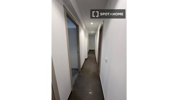 Se alquila habitación en piso compartido de 5 habitaciones, Alicante