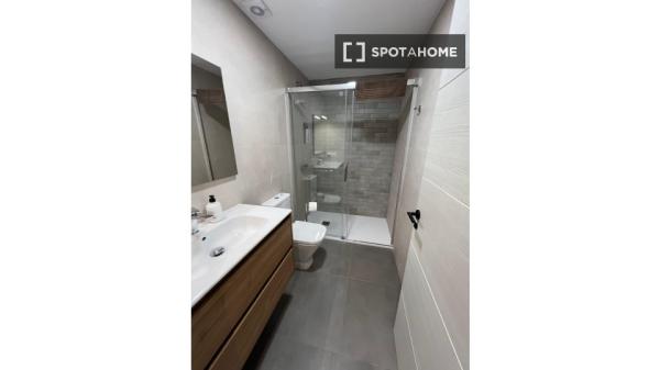 Se alquila habitación en piso compartido de 5 habitaciones, Alicante