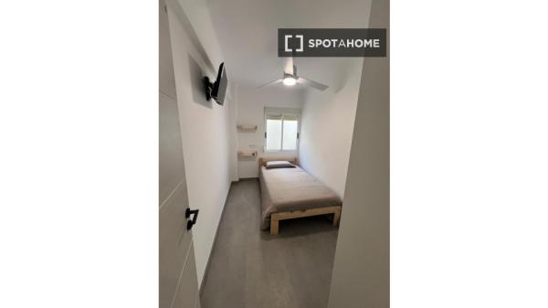 Se alquila habitación en piso compartido de 5 habitaciones, Alicante