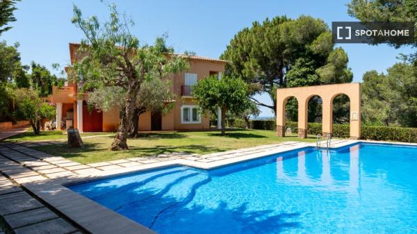 Estudio en alquiler en Pedreguer, Alicante