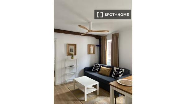 Apartamento de 1 dormitorio en alquiler en San Francisco, Bilbao