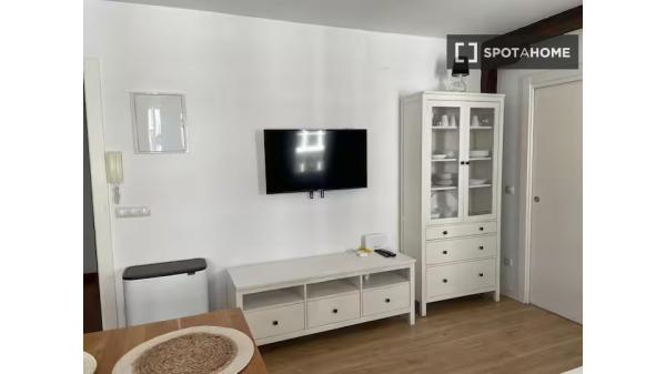 Apartamento de 1 dormitorio en alquiler en San Francisco, Bilbao