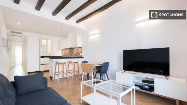 Apartamento de 2 dormitorios en alquiler en La Barceloneta, Barcelona