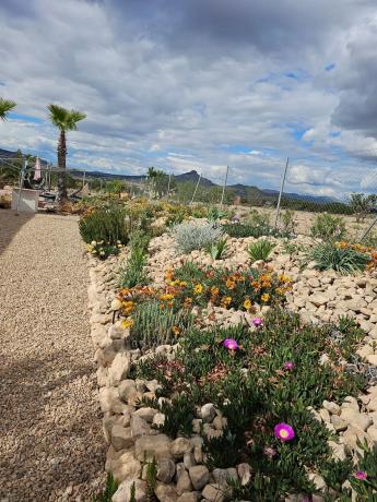 Casa independiente en Diseminado Noveldera, 51 b