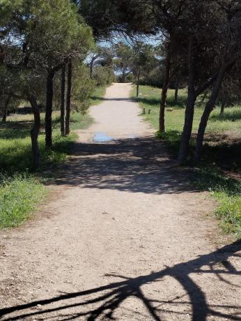 Piso en Lomas del polo, 6