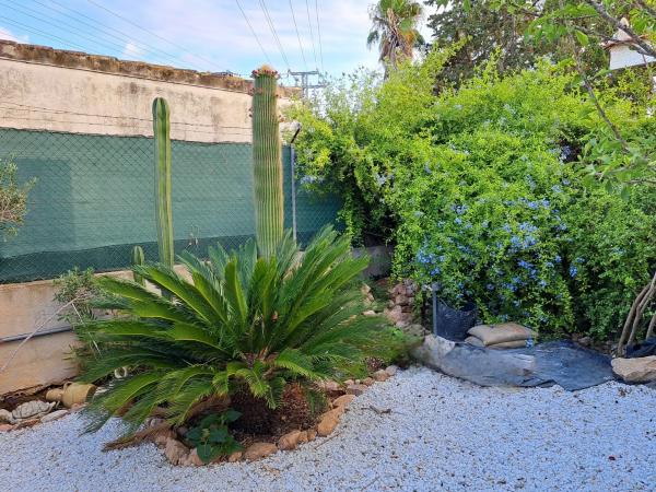 Casa independiente en calle Santos Médicos, 49