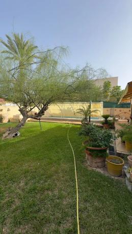 Casa independiente en Cl Yate-punta Prima