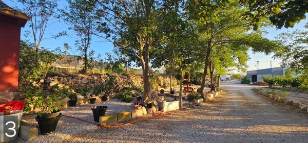 Finca rústica en Peña Rubia, 164