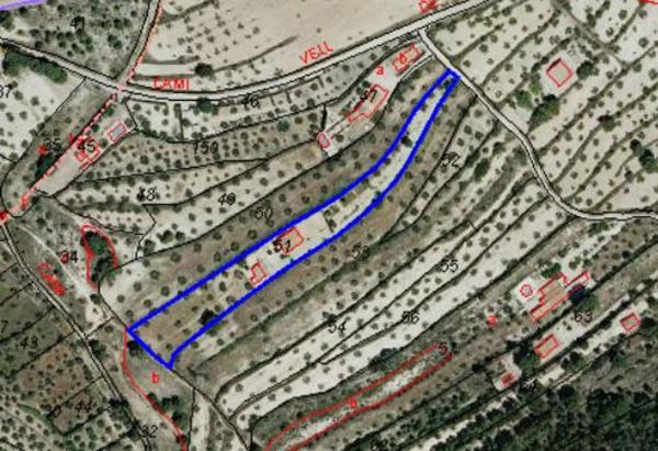 Finca rústica en Polígon Figueral 1 Uo6