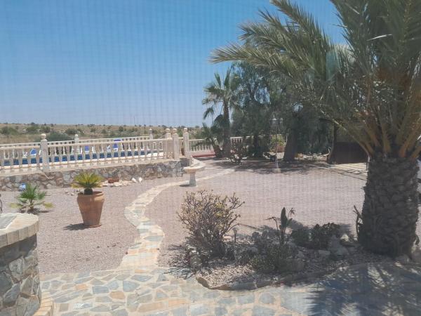 Finca rústica en calle Partida Lomas gp2, 2