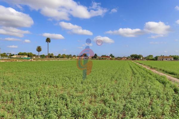 Finca rústica en vereda los Cañizares, 23 -121
