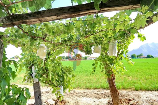 Finca rústica en vereda los Cañizares, 23 -121