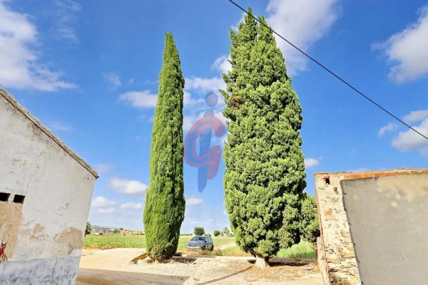 Finca rústica en vereda los Cañizares, 23 -121