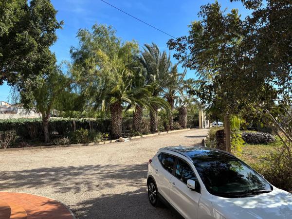 Finca rústica en camino Viejo de Almoradi s/n