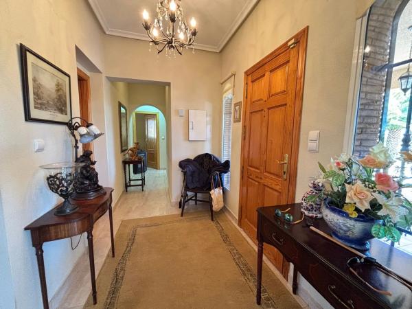 Finca rústica en camino Viejo de Almoradi s/n