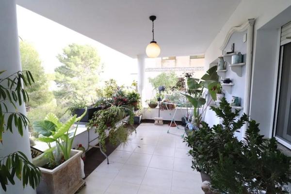 Chalet en calle Mimosa