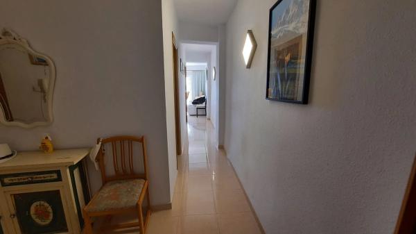 Piso en travesía Catral, 3