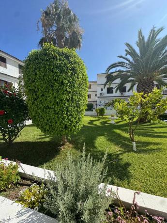 Chalet adosado en Urbanización las Barcas, 1