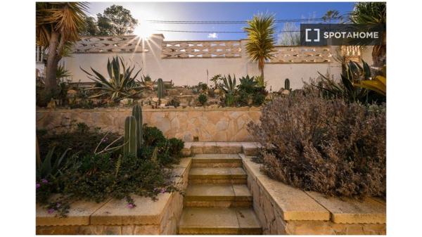 Piso de 3 dormitorios en alquiler en Alicante