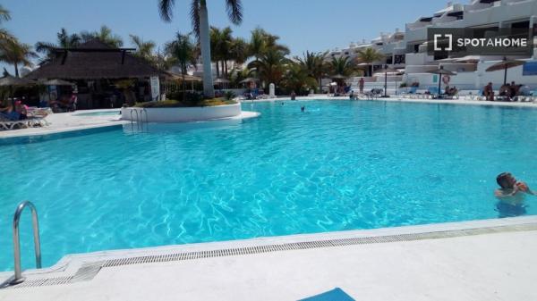 Estudio en alquiler en Adeje, Santa Cruz de Tenerife