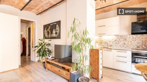 Apartamento de 1 dormitorio en alquiler en La Barceloneta