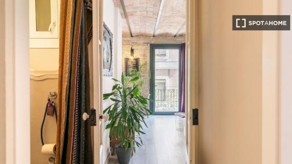Apartamento de 1 dormitorio en alquiler en La Barceloneta