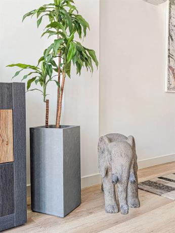 Chalet adosado en calle Músico José Mira Figueroa